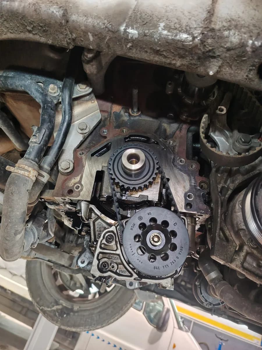 Pregled zupčastog kaišа razvoda motora